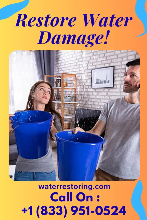 water restoration Elite Damage Recovery Pros Horntown